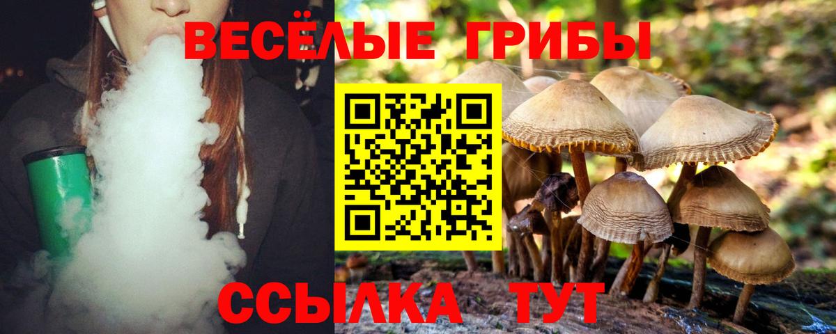 Галлюциногенные грибы GOLDEN TEACHER  Вход с VPN  Уварово 